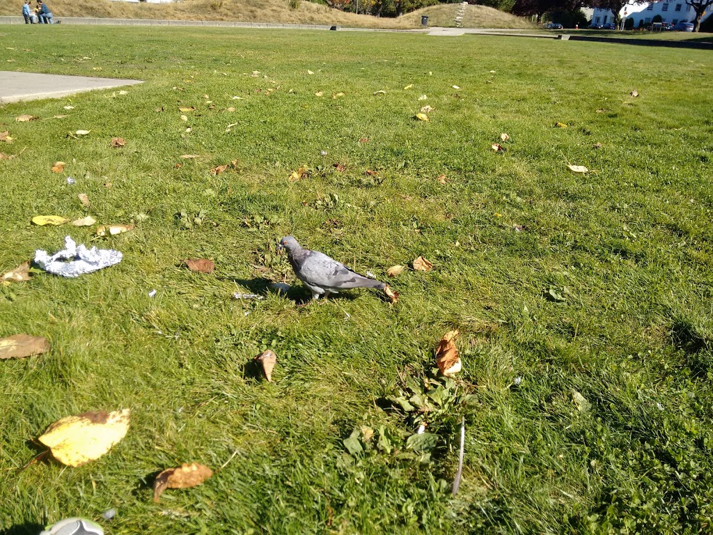 Jim Everett Memorial Park | Dalhousie Rd, Greater Vancouver A, BC V6T, Canada