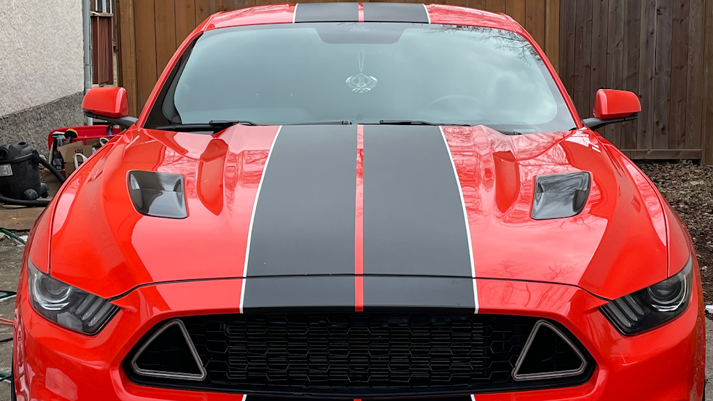 204 Customs Auto Detailing | 99 Shahi St #2208, Winnipeg, MB R3Y 1Z8, Canada | Phone: (647) 877-9896