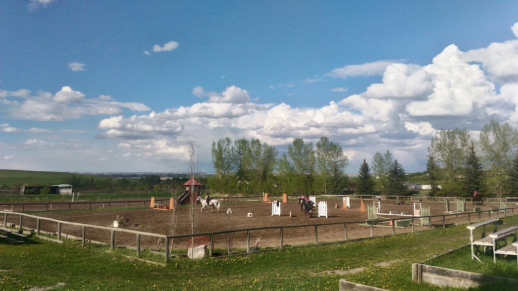 Paramount Equestrian Centre | Deerview Dr, De Winton, AB T0L 0X0, Canada | Phone: (403) 938-3671