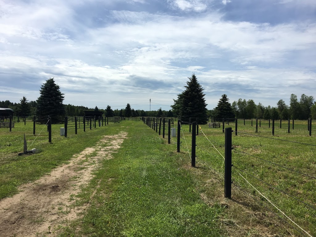 Centre Dhippothérapie Et Équitation Thérapeutique Enfants En Éq | 4200 Chemin Ste Angélique, Saint-Lazare, QC J7T 2N5, Canada | Phone: (438) 403-3341
