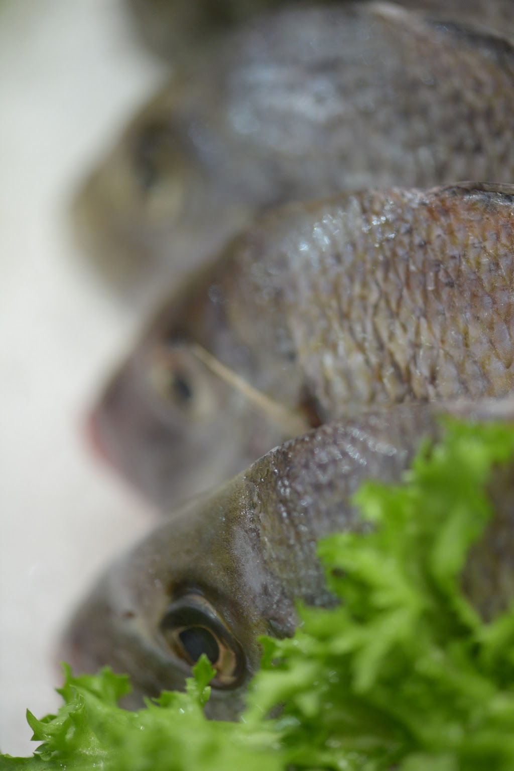 Poissonnerie Québec Océan | 1699 Route de lAéroport, LAncienne-Lorette, QC G2G 2P4, Canada | Phone: (418) 874-7773