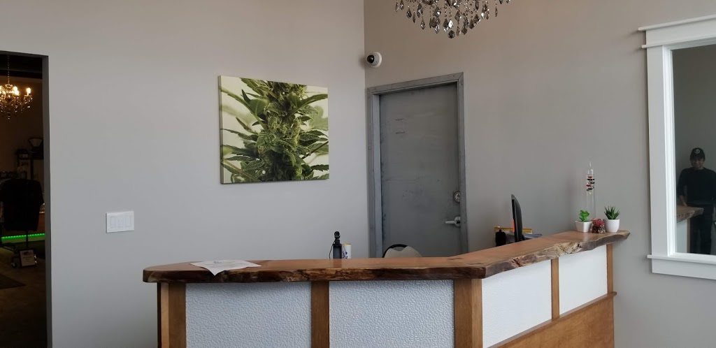 Wiid | 4554 Albert St, Regina, SK S4S 6B4, Canada | Phone: (306) 992-0092