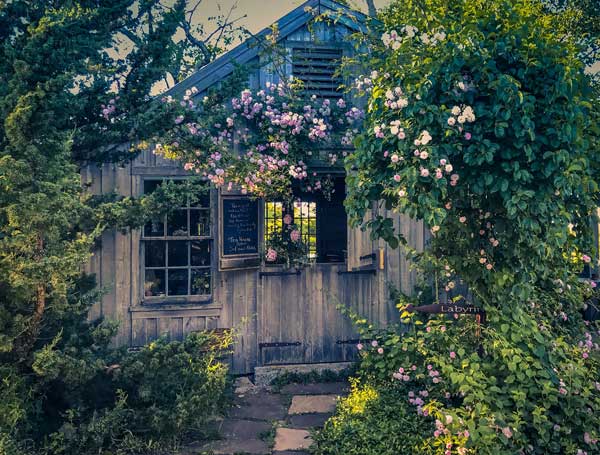 Tangled Garden | 11827 Nova Scotia Trunk 1, Grand Pré, NS B0P 1M0, Canada | Phone: (902) 542-9811