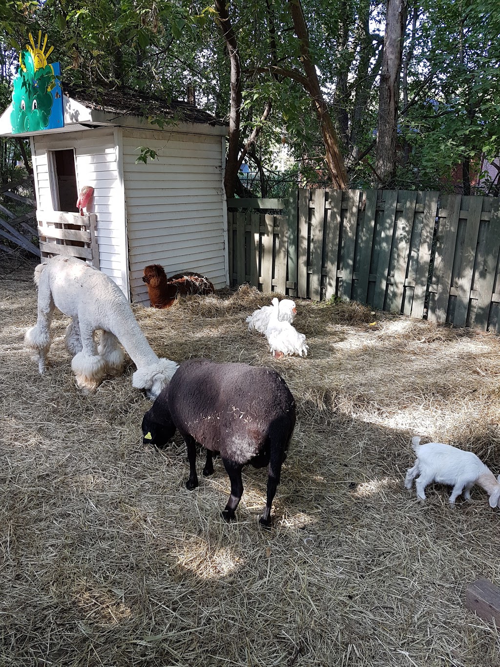 Verger Pom-Nature | 1402 Chemin Ozias-Leduc, Mont-Saint-Hilaire, QC J3G 4S6, Canada | Phone: (514) 821-6935