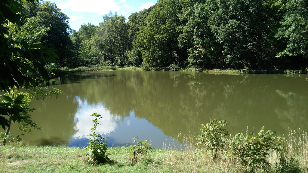 Firemens Park | 2275 Dorchester Rd, Niagara Falls, ON L2E 6S4, Canada | Phone: (905) 371-2099
