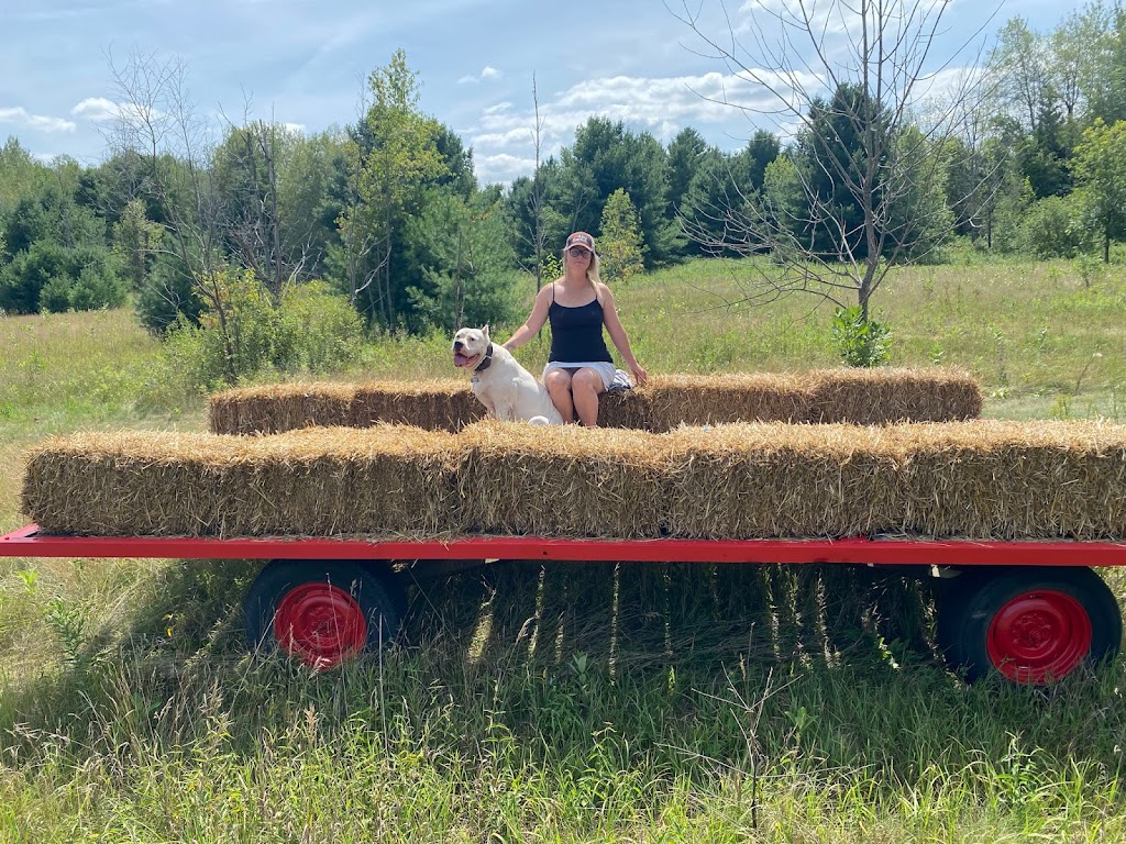 Wilson Creek Farms | 1331 3 Line, Lefroy, ON L0L 1W0, Canada | Phone: (226) 218-4638
