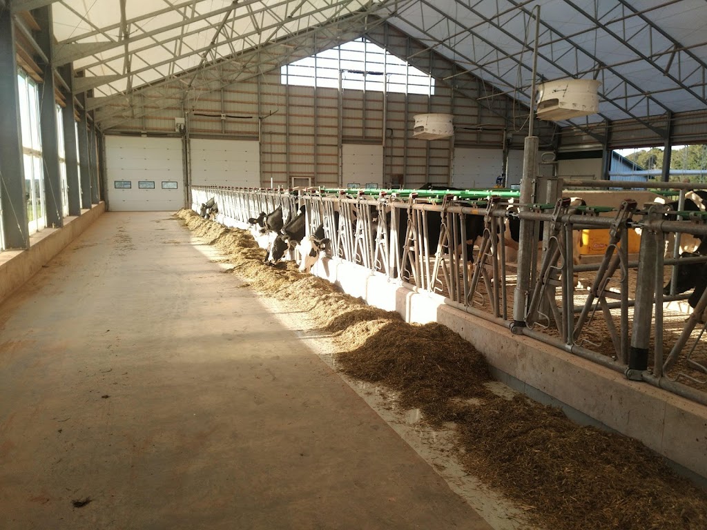 Talnie Farms Inc. | 1234 Union Rd #221, Union Road, PE C1E 3B7, Canada | Phone: (902) 626-7951