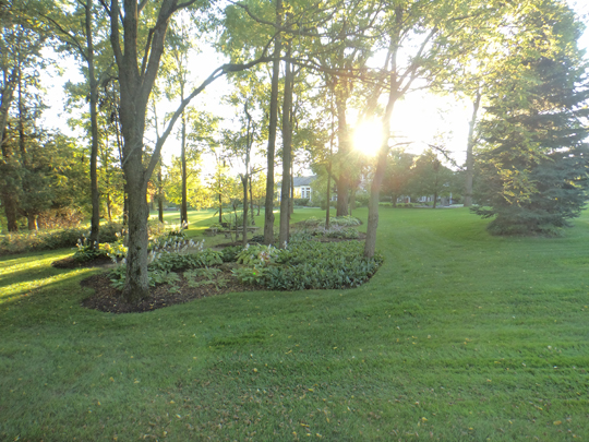 Green Ventures Landscape Care Limited | 75 Howard Pl, Kitchener, ON N2K 2Z4, Canada | Phone: (519) 571-7888