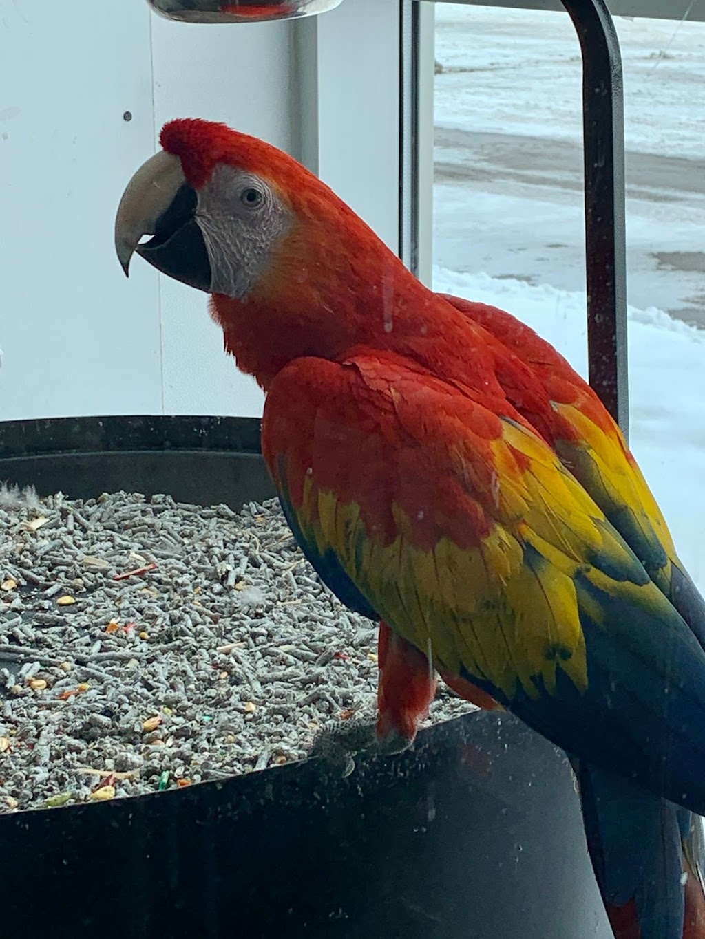 Terre Animale | 1562 Bd Talbot, Chicoutimi, QC G7H 4C2, Canada | Phone: (418) 549-9938