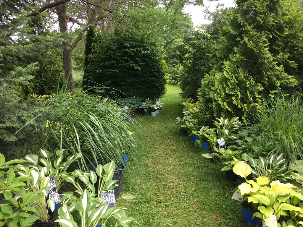 Olde Towne Gardens | 716 Lakeshore Rd, Niagara-on-the-Lake, ON L0S 1J0, Canada | Phone: (905) 937-6758