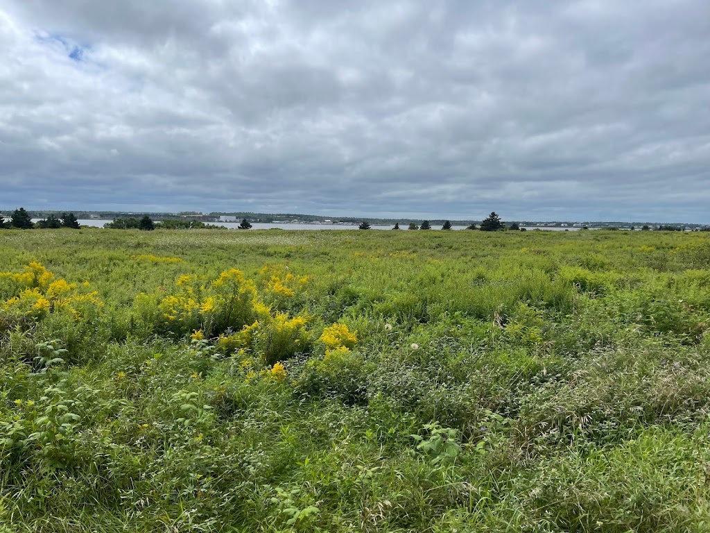 Greenwich Beach, Prince Edward Island National Park | Wild Rose Rd, Saint Peters Bay, PE C0A 2A0, Canada | Phone: (902) 672-6350