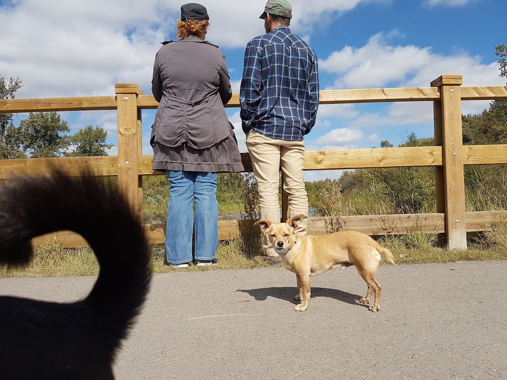 Beaver Dam Flats | 3A6, Bow River Pathway, Calgary, AB T2C 3A6, Canada