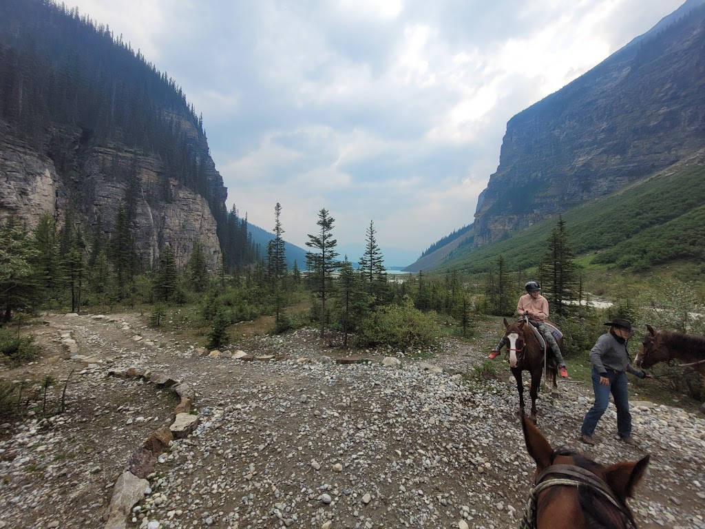 Brewsters Lake Louise Stables | 111 Lake Louise Dr, Lake Louise, AB T0L 1E0, Canada | Phone: (403) 762-5454