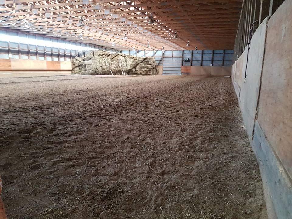 Blue Bear Farms | Box 368, Sanford, MB R0G 2J0, Canada | Phone: (204) 229-3023