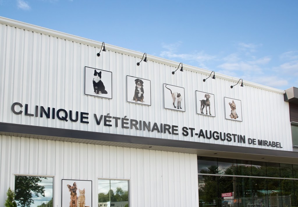 Clinique vétérinaire St-Augustin-de-Mirabel | 8800 Rue Saint-Jacques, Mirabel, QC J7N 2B5, Canada | Phone: (450) 414-1515