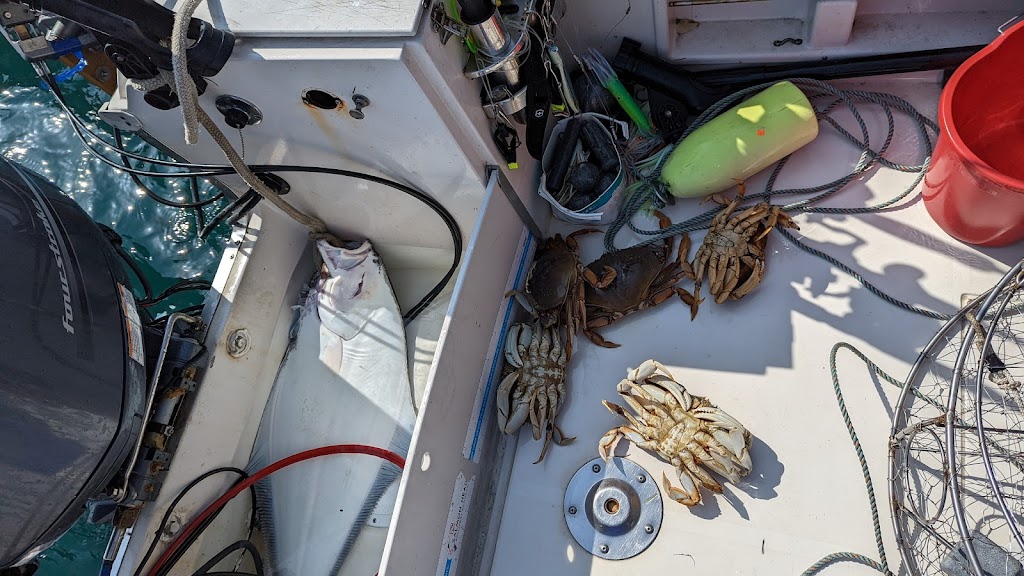 Rodfather Fishing and Outdoor Adventures | 3158 Metchosin Rd, Victoria, BC V9C 2A2, Canada | Phone: (250) 294-2881