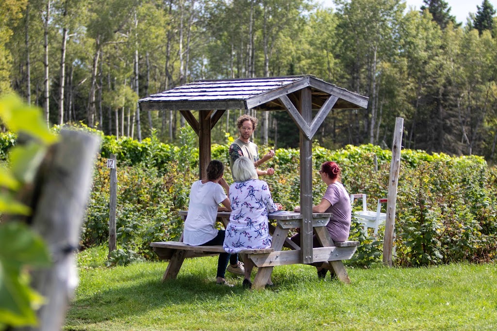 Domaine Le Cageot | 5455 Chemin St André, Jonquière, QC G7X 7V4, Canada | Phone: (418) 547-2857