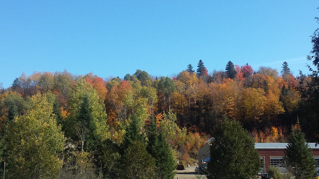 Plein air St-Adolphe | 1672 Chemin du Village, Saint-Adolphe-dHoward, QC J0T 2B0, Canada | Phone: (819) 327-3519