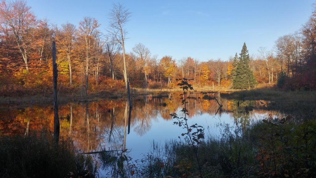 Huron Trail | Chelsea, QC J9B 1H9, Canada