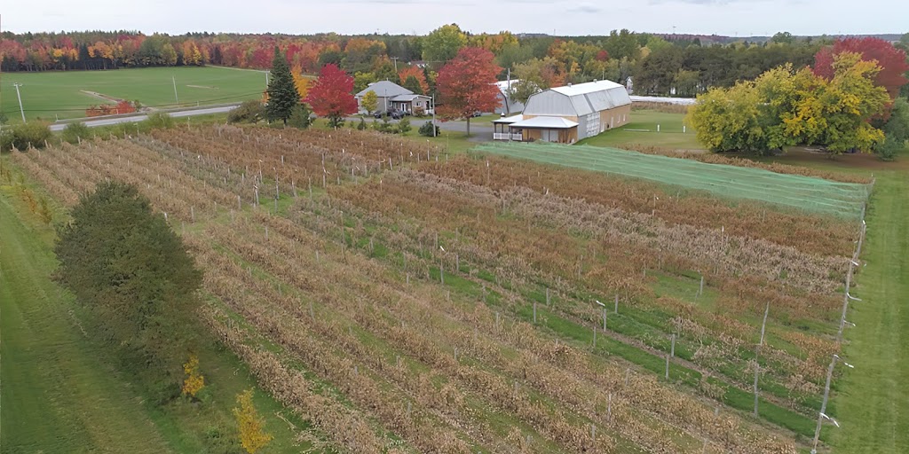 Vignoble Terre des Passions | 1218 QC-161, Saint-Valère, QC G0P 1M0, Canada | Phone: (418) 815-7572