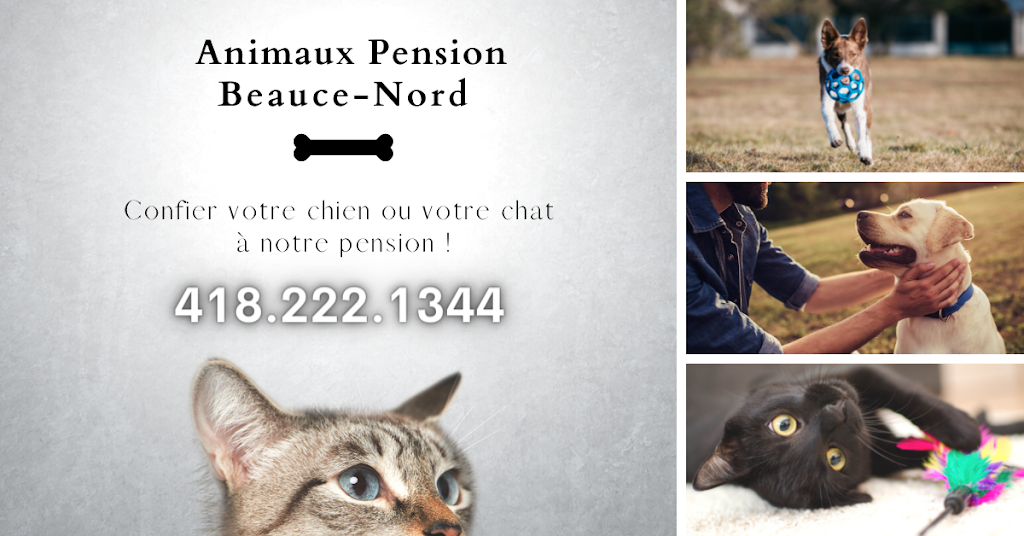 Animaux Pension Beauce Nord | 145 Route du Président Kennedy N, Vallée-Jonction, QC G0S 3J0, Canada | Phone: (418) 222-1344