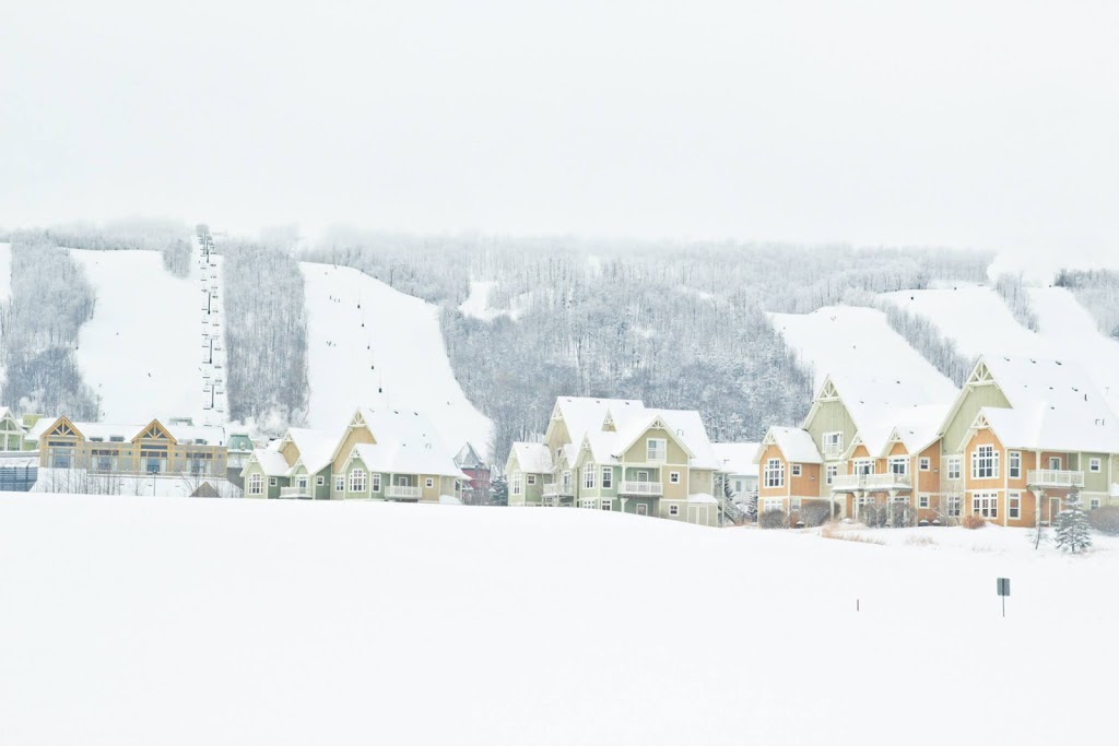 Blue Mountain | 796562 Grey County Rd 19, The Blue Mountains, ON L9Y 0S5, Canada | Phone: (877) 445-0231