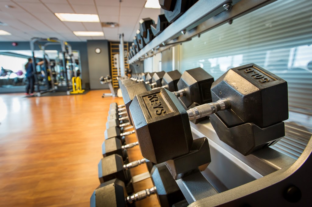 Studio Evolution | 655 Promenade Du Centropolis #223, Laval, QC H7T 0A3, Canada | Phone: (450) 686-4132