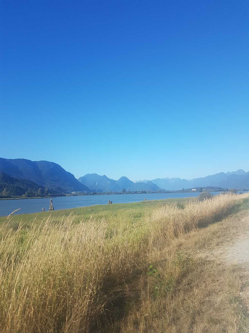 Northlands Equestrian Centre Ltd | 15213 Harris Rd, Pitt Meadows, BC V3Y 1Z1, Canada | Phone: (604) 290-6934