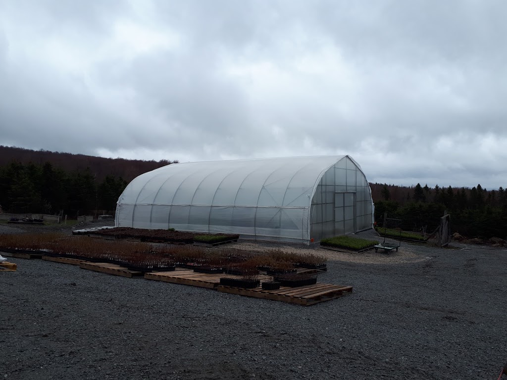 Pépinière Ancestrale | 3049 rang 3 Ouest, Saint-Julien, QC G0N 1B0, Canada | Phone: (418) 423-3070