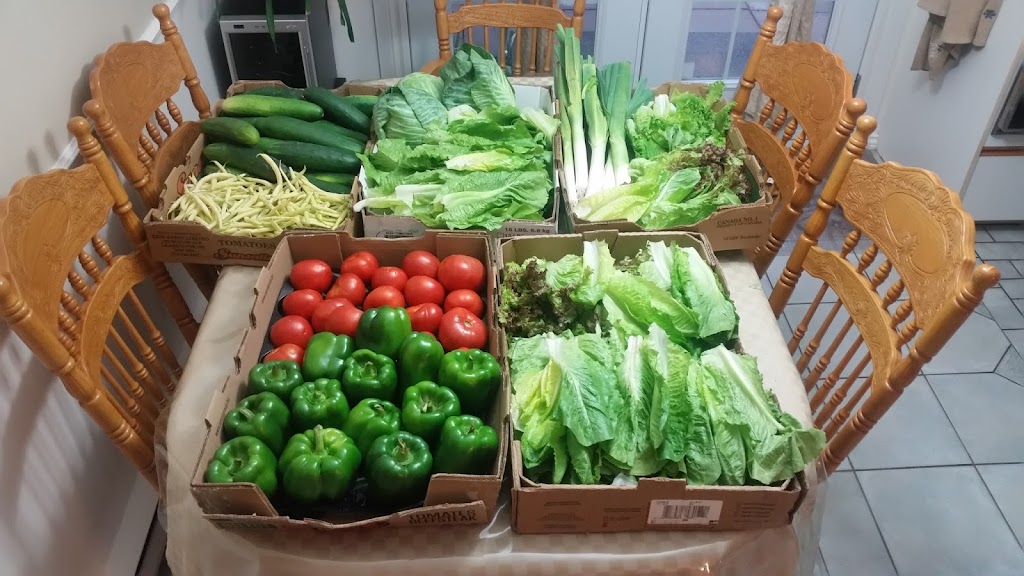 Les Jardins du Coeur | 61 Rue Mailhot, Victoriaville, QC G6P 6R5, Canada | Phone: (819) 357-5527