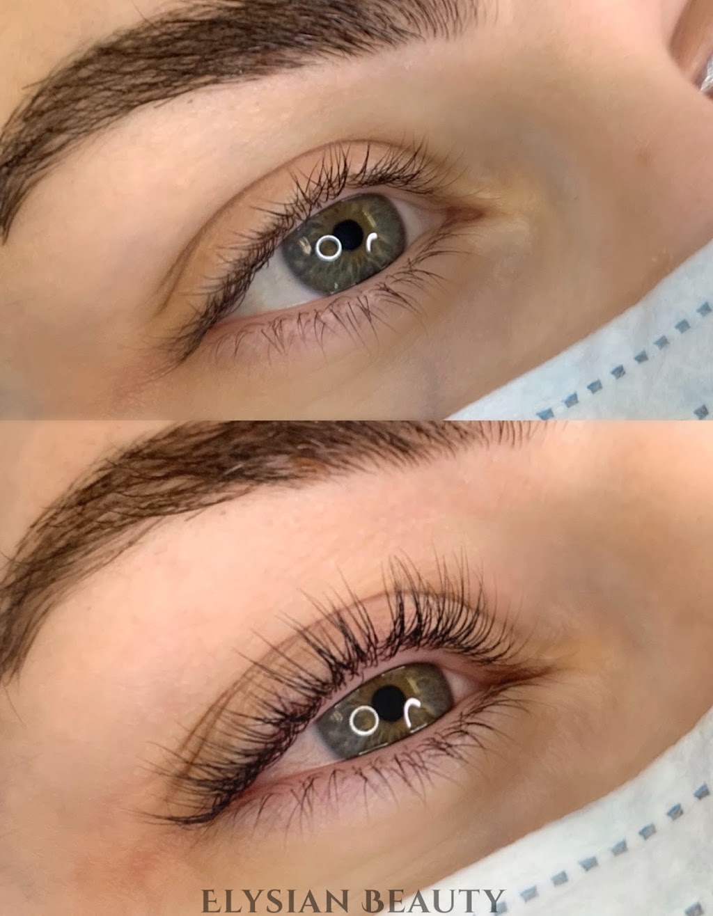 Elysian Beauty | 2838 Gothwood Pl, Gloucester, ON K1T 2V5, Canada | Phone: (613) 700-5551