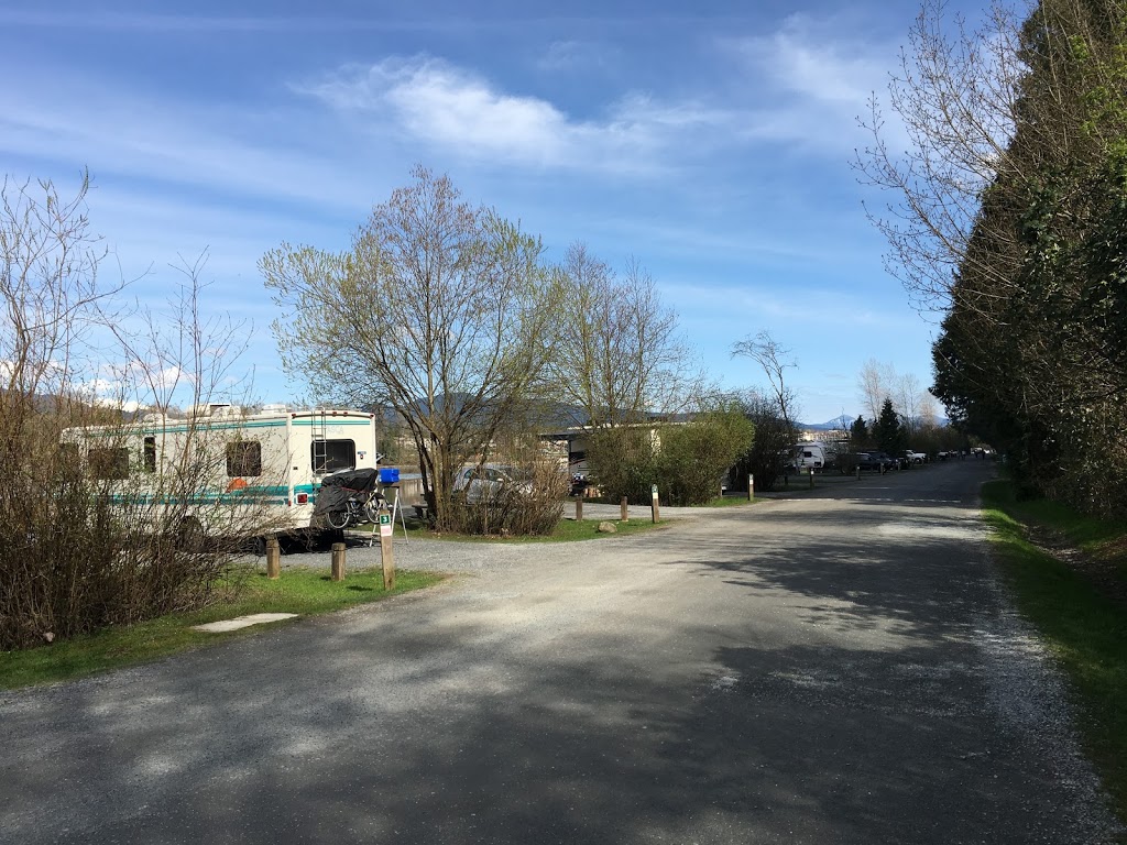Edgewater Bar Campsite | 21801 Allard Crescent, Langley City, BC V1M 3V9, Canada | Phone: (604) 530-4983