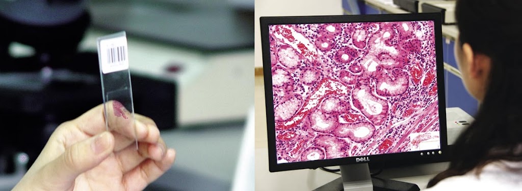 BIOIMAGER Inc. | 123 Pentland Crescent, Maple, ON L6A 1T4, Canada | Phone: (855) 246-4624