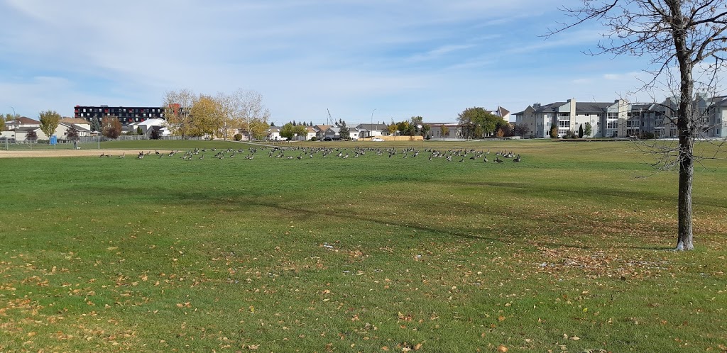 Kirkbridge Park | 119 Kirkbridge Dr, Winnipeg, MB R3T 5K2, Canada | Phone: (877) 311-4974