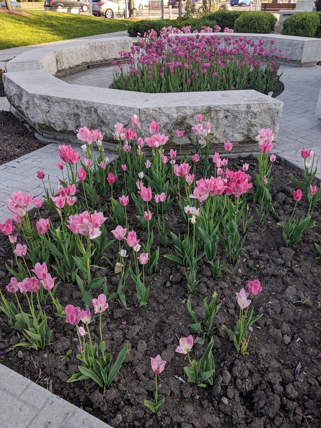 Downsview Memorial Parkette | 1092 Wilson Ave, Toronto, ON M3K, Canada | Phone: (416) 338-4386