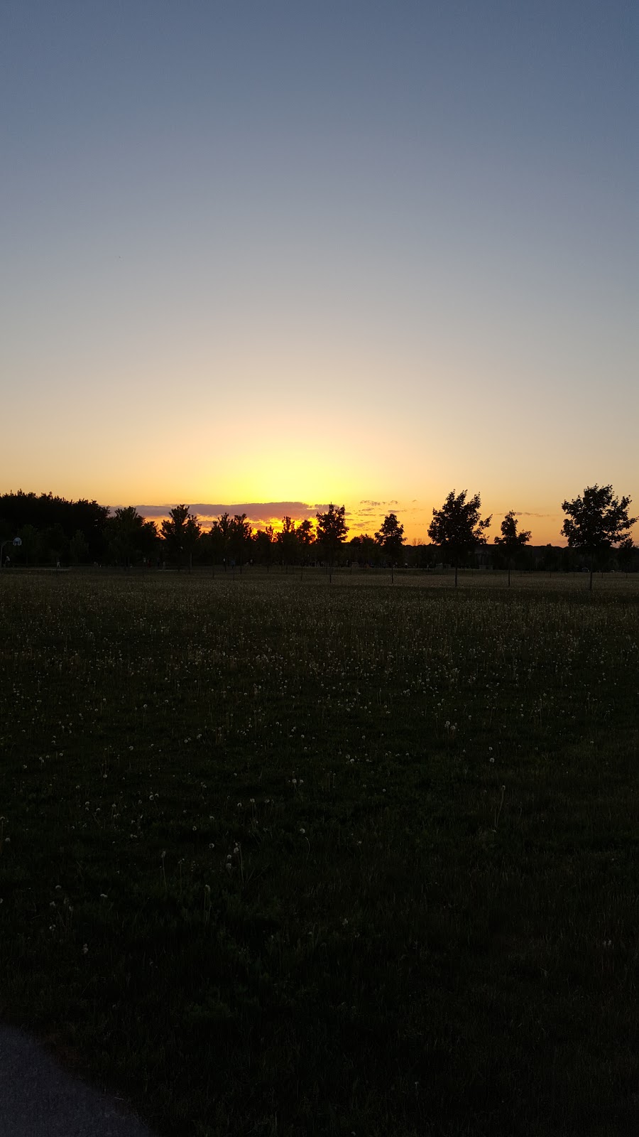 Bur Oak Park | Markham, ON L6E, Canada