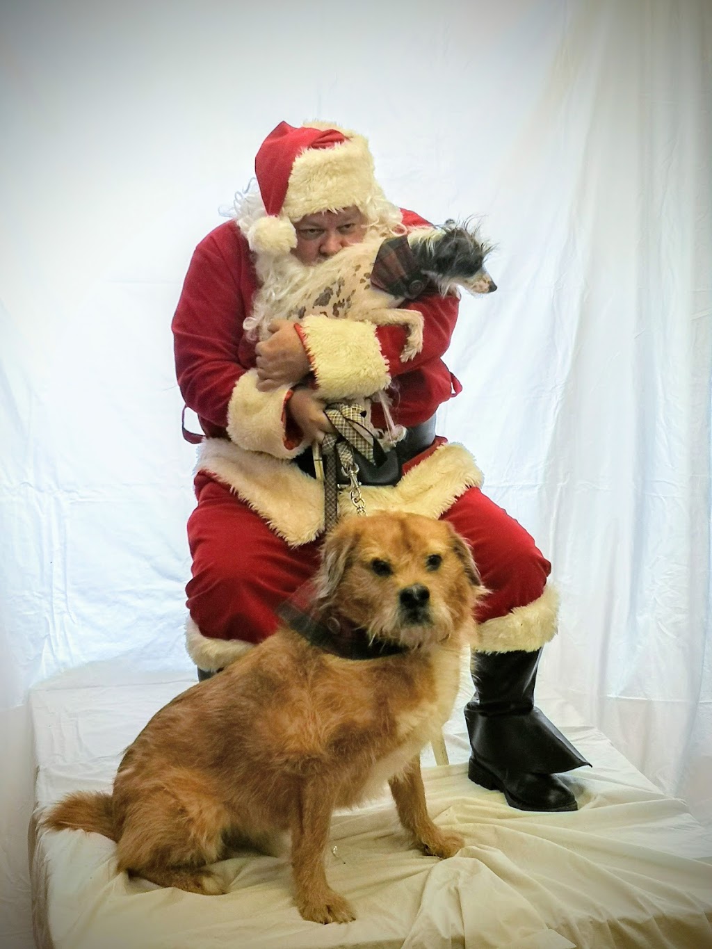 Pet Valu | 2210 Queen St E, Toronto, ON M4E 1E7, Canada | Phone: (416) 693-4456