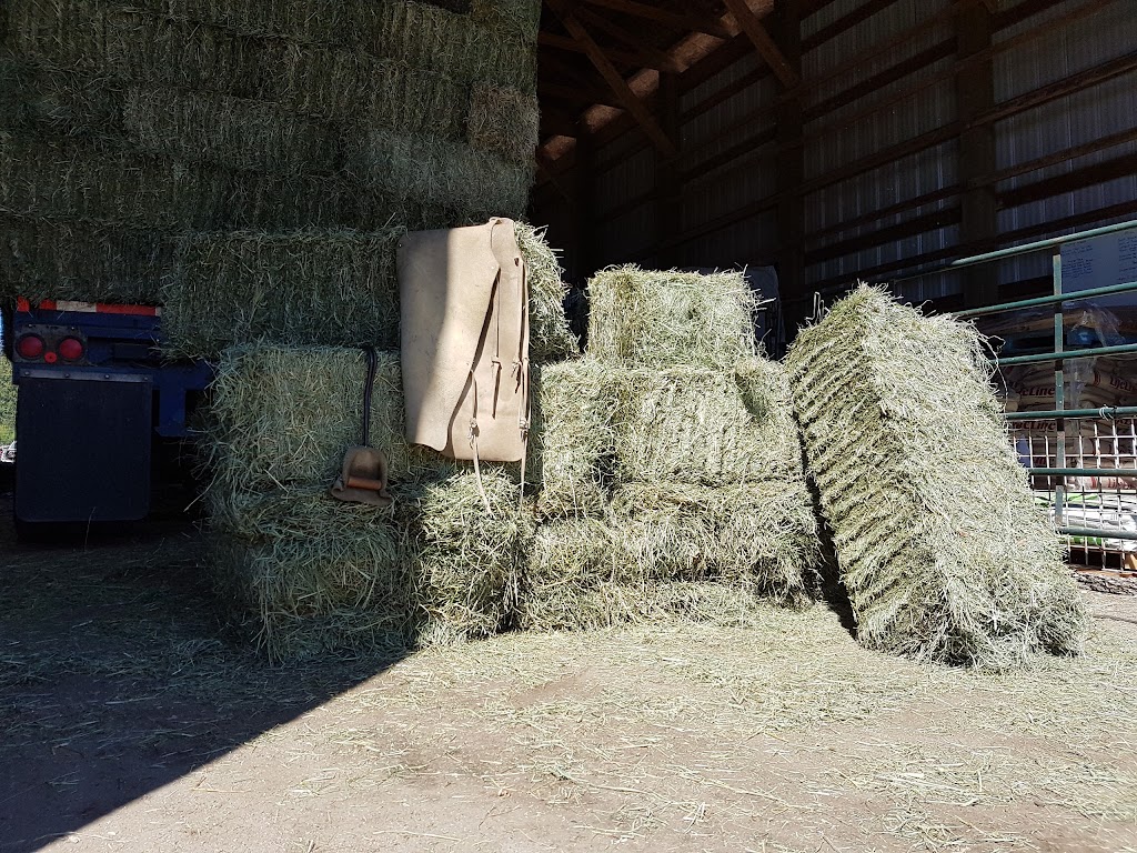 Mason Bluff Turf Farm | 6065 Mason Rd, Sechelt, BC V0N 3A8, Canada | Phone: (604) 885-4184