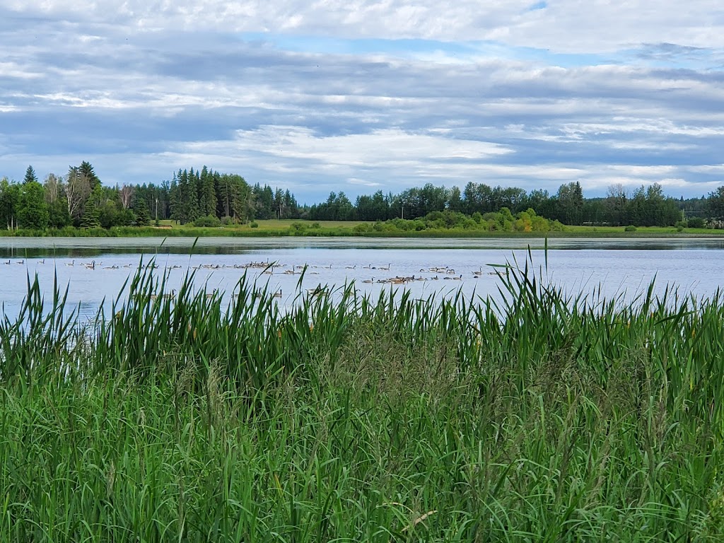 HAUSERS COVE | SE 33 46 6 W5th, Box 502, Buck Lake, AB T0C 0T0, Canada | Phone: (780) 388-2114