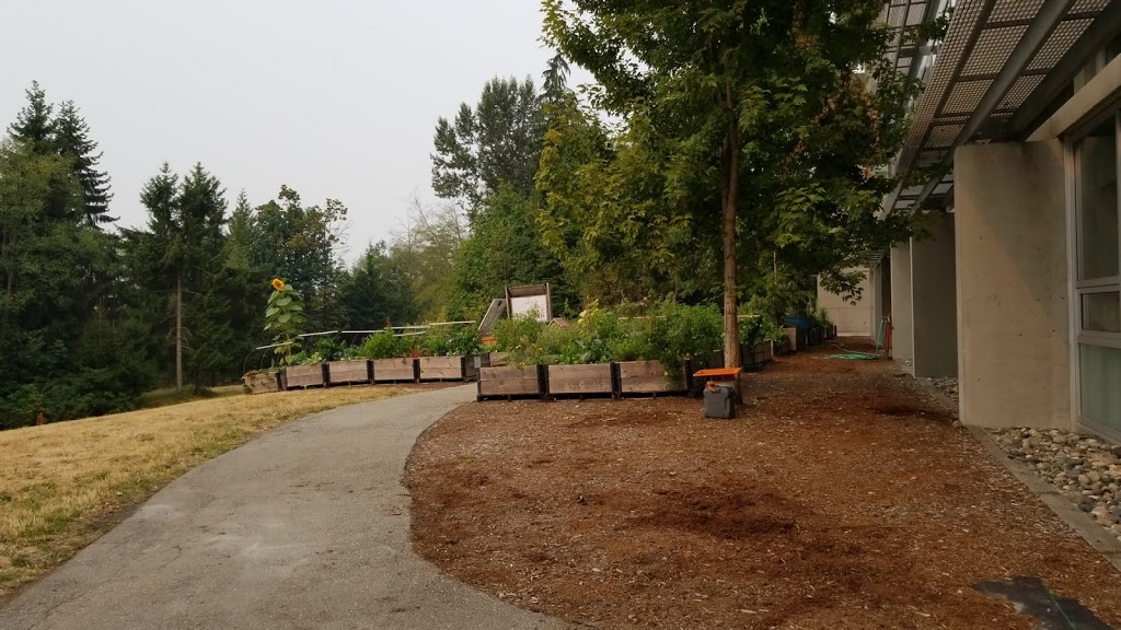 Embark Learning Garden | 643A Science Rd, Burnaby, BC V5A, Canada | Phone: (778) 782-3972