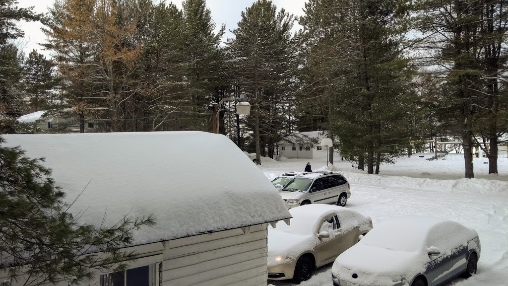 Shalom By The Lake | Shalom by the Lake, 1570 Little Hawk Lake Rd, Algonquin Highlands, ON K0M 1J2, Canada | Phone: (705) 489-3674