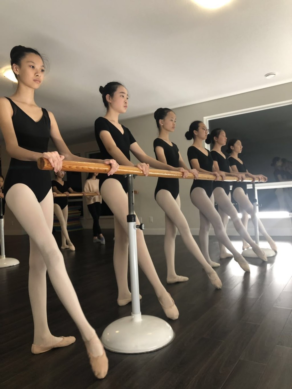 AiBalletDancerWorld | 3534 Harper Rd, Coquitlam, BC V3E 3H3, Canada | Phone: (778) 788-8815