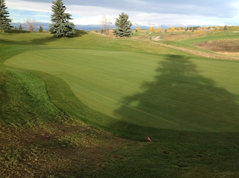 Bos Sod Farms Inc | 2565 Dixon Rd, Abbotsford, BC V3G 2H2, Canada | Phone: (604) 854-1415