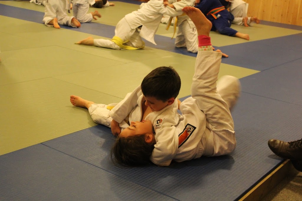 Crown Hill Martial Arts | 605 Penetanguishene Rd, Barrie, ON L4M 4Y8, Canada | Phone: (705) 305-4636