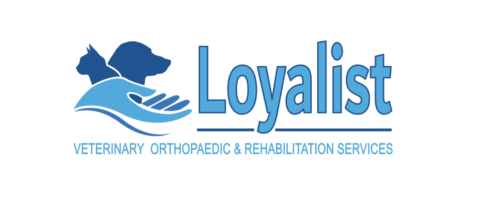 Loyalist Veterinary Orthopaedic and Rehabilitation Services | 406 Maitland Dr, Belleville, ON K8N 0N3, Canada | Phone: (613) 962-0111