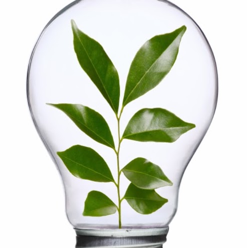 Eco-Can Electric Ltd. | 806 Greycedar Crescent, Mississauga, ON L4W 3J8, Canada | Phone: (647) 297-6425