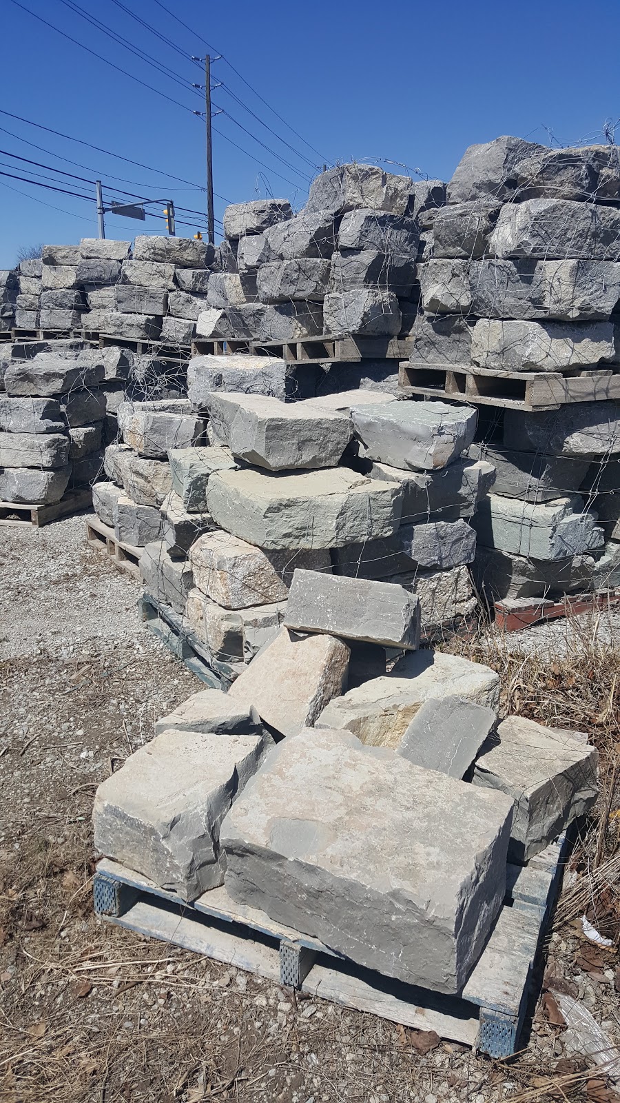Vaughan Garden Centre Ltd / My Disposal Bins | 8955 Weston Rd, Woodbridge, ON L4L 1A6, Canada | Phone: (905) 850-9855