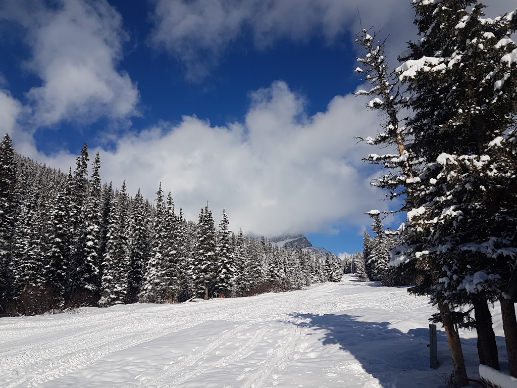 Sawyers Nook | 1 Whitehorn Rd, Lake Louise, AB T0L 1E0, Canada | Phone: (403) 522-3555