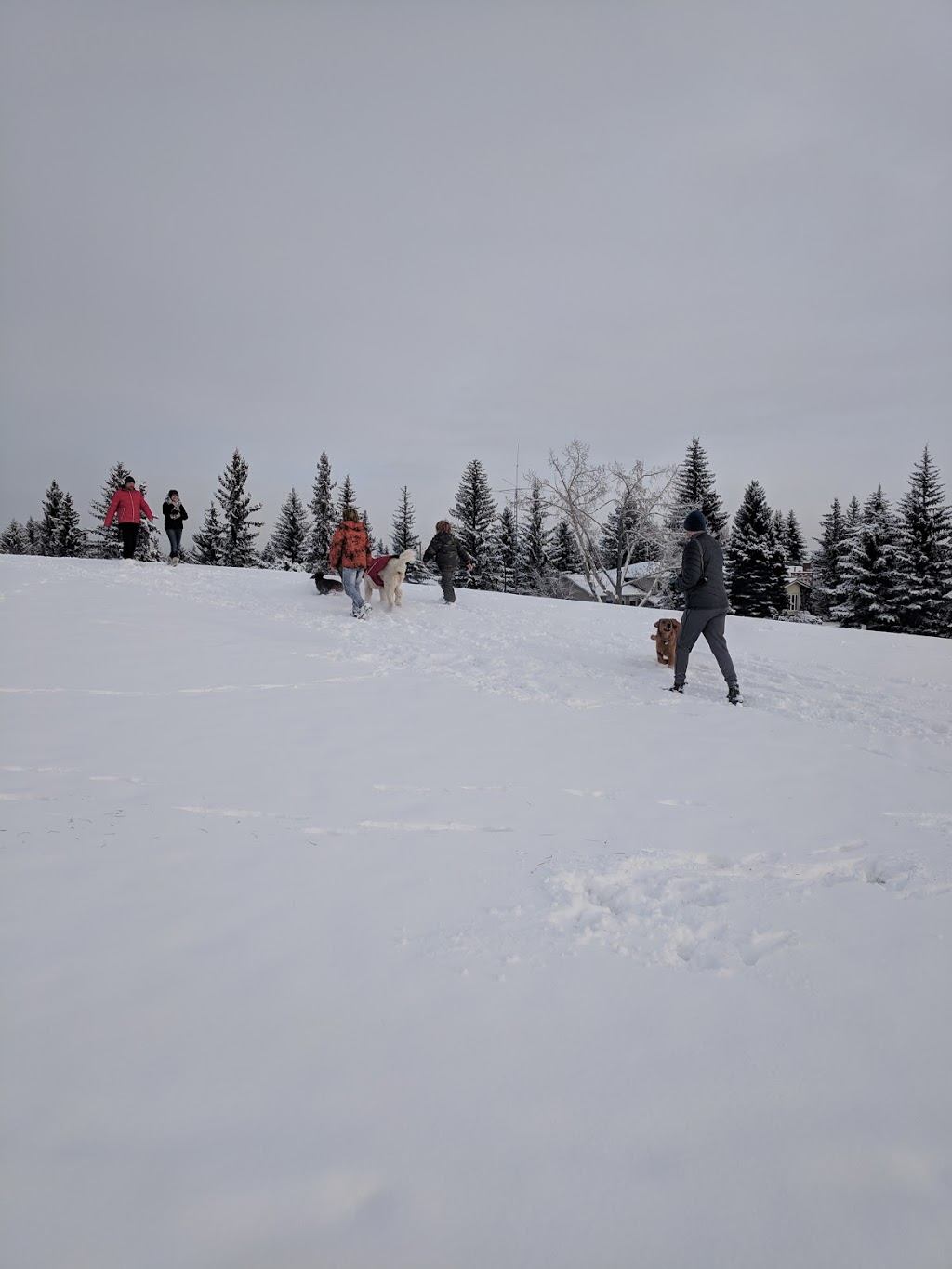 Dog Off Leash Park | Calgary, AB T2W 1W3, Canada