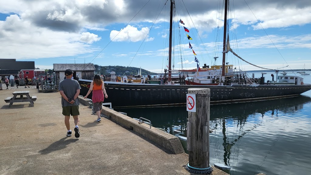Lunenburg Whale Watching Tours | 62 Bluenose Dr, Lunenburg, NS B0J 2C0, Canada | Phone: (902) 527-7175